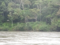 DSCN1945