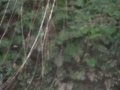 DSCN1947