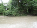 DSCN1949