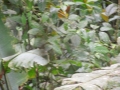 DSCN1952