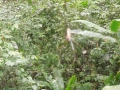 DSCN1953