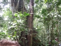 DSCN1979