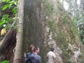DSCN1986