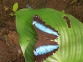 DSCN2022