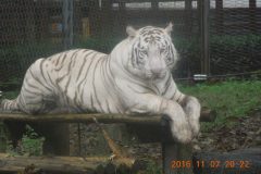 DSCN2617-scaled