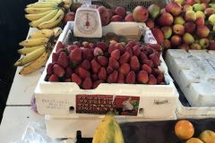 053-scaled-e1635986292944