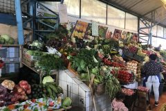 055-scaled-e1635986187687