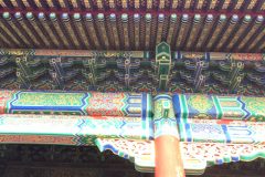 IMG_2087-scaled