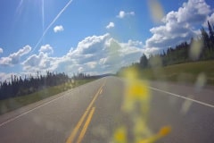 Ft-Nelson-to-Dawson-bugs