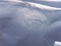 image009