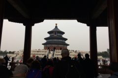 IMG_2153-scaled