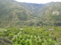 DSCN2079