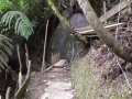 DSCN2080