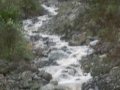 DSCN2099