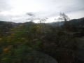DSCN2109