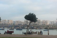 IMG_0623-scaled