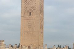 IMG_0629-scaled