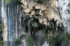 IMG_2574-scaled