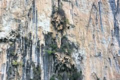 IMG_2575-1-scaled