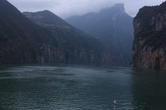 IMG_2488-scaled