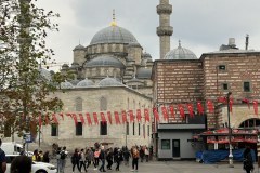 IMG_8774