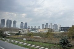 IMG_8798