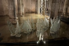 IMG_8707