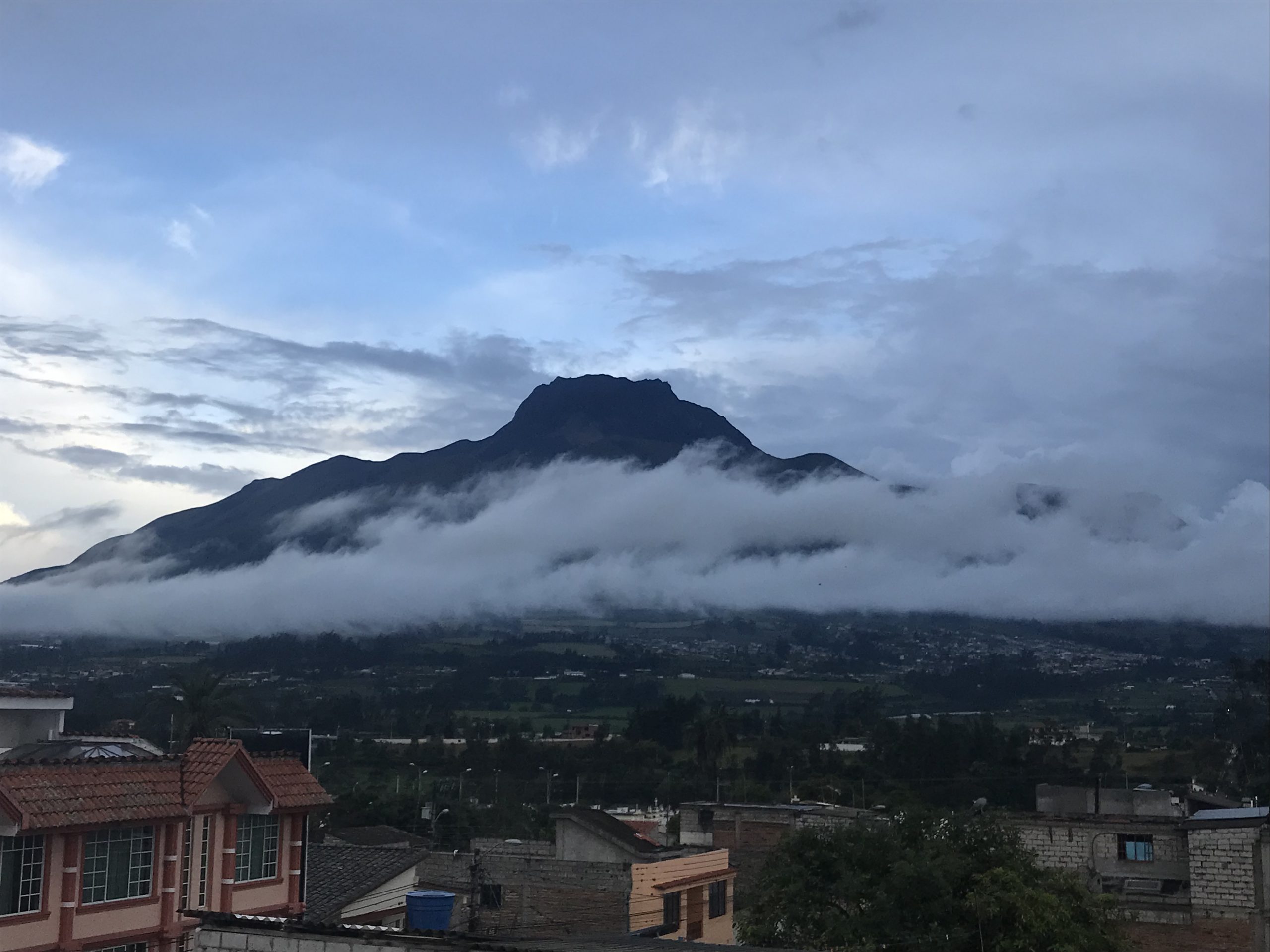 November 2021 - Wing Rider